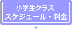 (個別指導クラス)スケジュール・料金