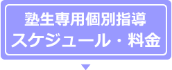 (個別指導クラス)特徴と強み